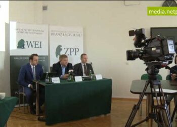 Biurokracja, podatki i wysokie koszty pracy – trudne życie polskiego przedsiębiorcy