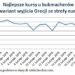Na bankructwie Grecji można zarobić